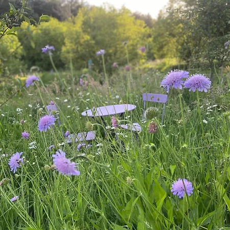 Tiny House Confort Dans Un Ecrin De Nature Domek alpejski *