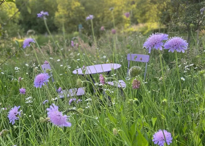 Tiny House Confort Dans Un Ecrin De Nature Domek alpejski *