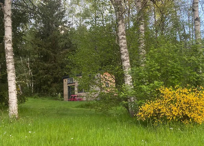 Tiny House Confort Dans Un Ecrin De Nature